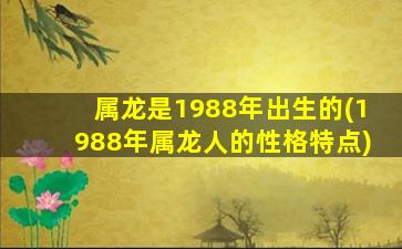 属龙是1988年出生的(198