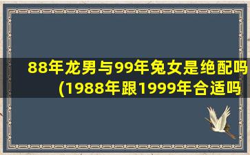 88年龙男与99年兔女是绝配