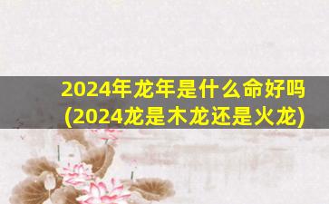 2024年龙年是什么命好吗