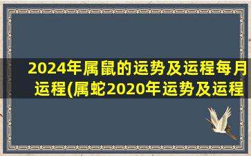 2024年属鼠的运势及运程每月运程(属蛇2020年运势及运程)