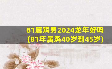 81属鸡男2024龙年好吗(81年