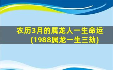 农历3月的属龙人一生命