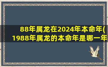 88年属龙在2024年本命年(1988年属龙的本命年是哪一年)