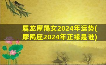 属龙摩羯女2024年运势(摩羯座2024年正缘是谁)