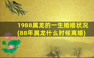 1988属龙的一生婚姻状况