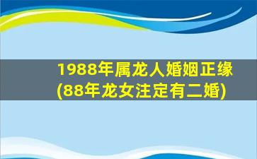 1988年属龙人婚姻正缘(