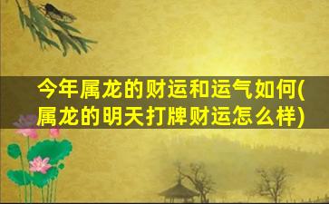 今年属龙的财运和运气如何(属龙的明天打牌财运怎么样)