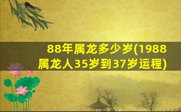 88年属龙多少岁(1988属龙人35岁到37岁运程)