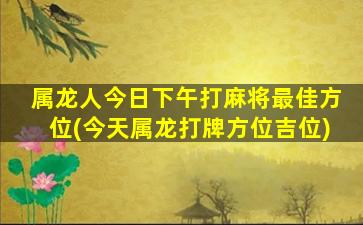 属龙人今日下午打麻将最佳方位(今天属龙打牌方位吉位)