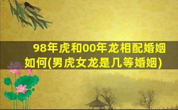 98年虎和00年龙相配婚姻如