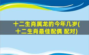 十二生肖属龙的今年几岁(十二生肖最佳配偶 配对)