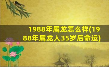 1988年属龙怎么样(1988年属