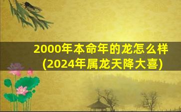 2000年本命年的龙怎么样(2024年属龙天降大喜)