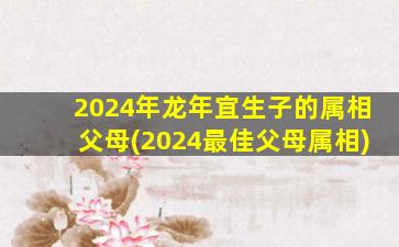 2024年龙年宜生子的属相父