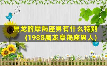 属龙的摩羯座男有什么特别(1988属龙摩羯座男人)