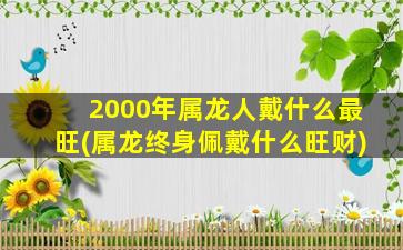 2000年属龙人戴什么最旺