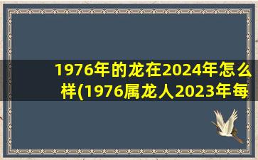 1976年的龙在2024年怎么样(1976属龙人2023年每月运势运程)