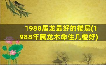 1988属龙最好的楼层(1988年属龙木命住几楼好)