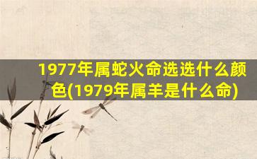 1977年属蛇火命选选什么