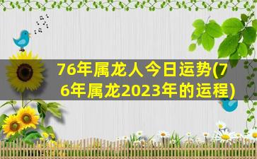 76年属龙人今日运势(76年