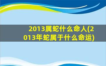 2013属蛇什么命人(2013年蛇