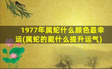 1977年属蛇什么颜色最幸