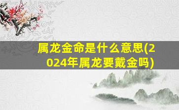 属龙金命是什么意思(202