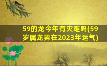 59的龙今年有灾难吗(59岁