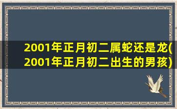 2001年正月初二属蛇还是龙