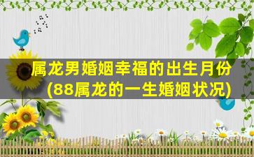 属龙男婚姻幸福的出生月份(88属龙的一生婚姻状况)