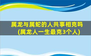 属龙与属蛇的人共事相克