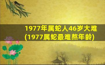 1977年属蛇人46岁大难(1977属蛇最难熬年龄)