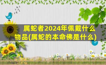 属蛇者2024年佩戴什么物