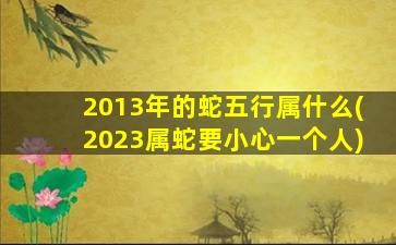 2013年的蛇五行属什么(