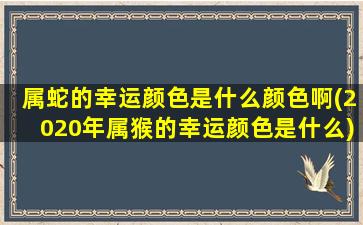 属蛇的幸运颜色是什么颜色啊(2020年属猴的幸运颜色是什么)