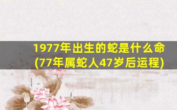 1977年出生的蛇是什么命(77年属蛇人47岁后运程)