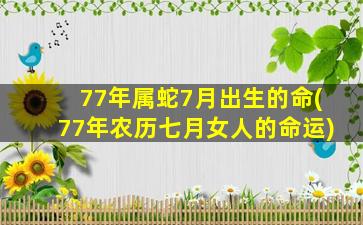 77年属蛇7月出生的命(7