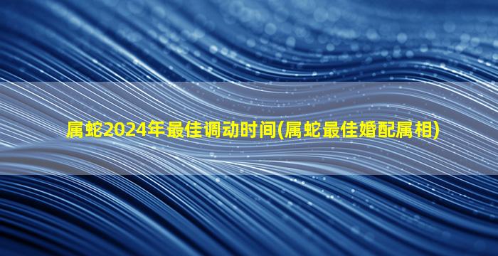 属蛇2024年最佳调动时间