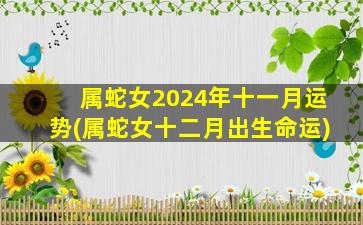 属蛇女2024年十一月运势