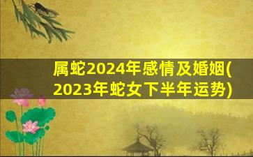 属蛇2024年感情及婚姻(