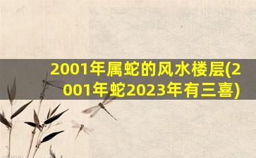 2001年属蛇的风水楼层(2001年蛇2023年有三喜)