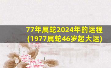 77年属蛇2024年的运程(197