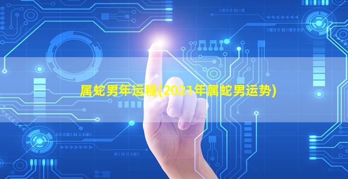 属蛇男年运程(2021年属蛇男运势)