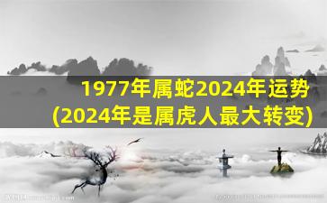 1977年属蛇2024年运势(20