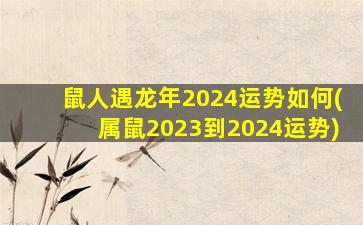 鼠人遇龙年2024运势如何