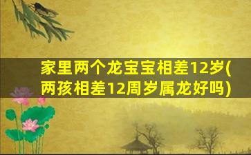 家里两个龙宝宝相差12岁