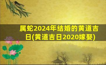 属蛇2024年结婚的黄道吉日(黄道吉日2020嫁娶)