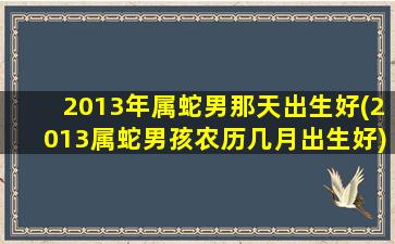 2013年属蛇男那天出生好