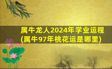 属牛龙人2024年学业运程