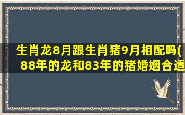 生肖龙8月跟生肖猪9月相配